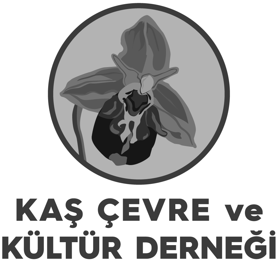 Kaş Çevre