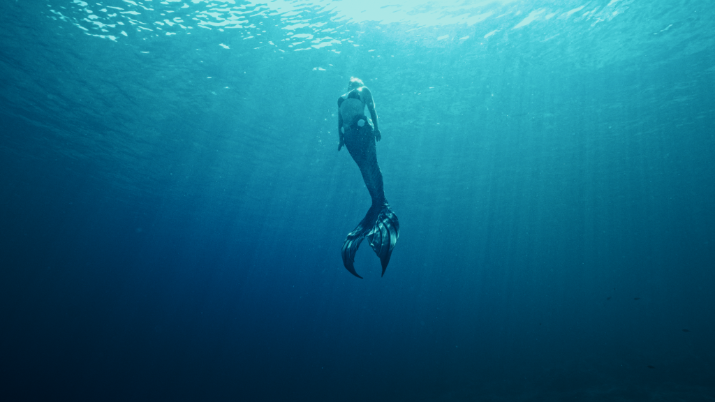 Photo00183659 (Orta) (Yeni boyut 1)